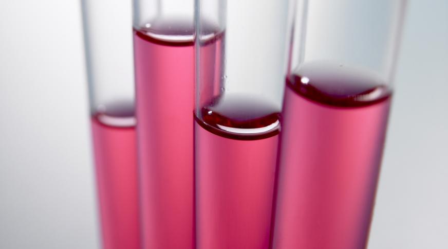 L'emploi dans le secteur de la chimie 